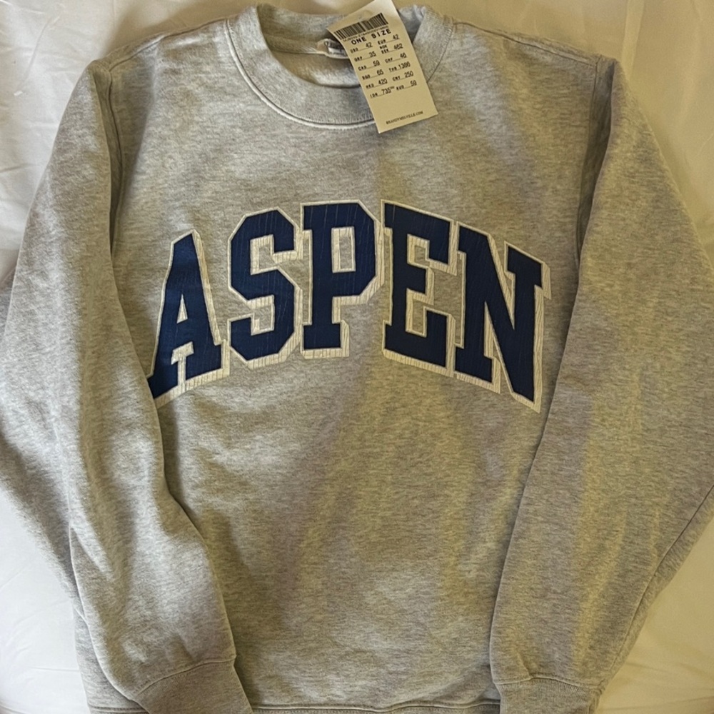 Brandy Melville Gray Crewneck Sweater Aspen Design